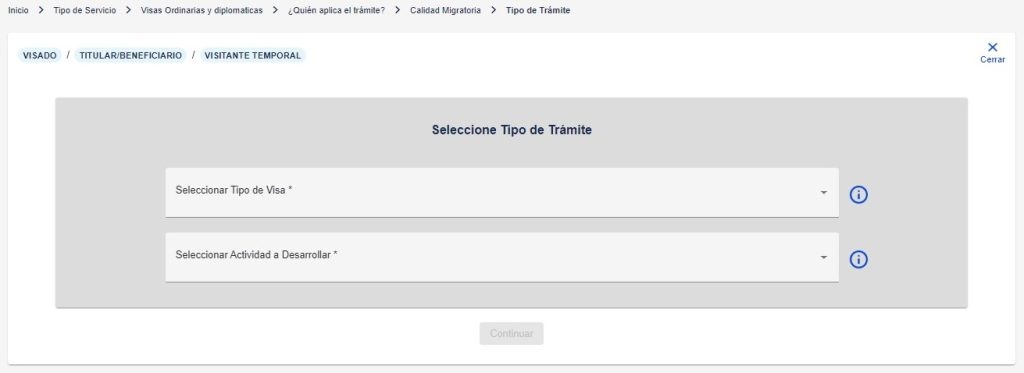 Selección del tipo de visa en eVisas
