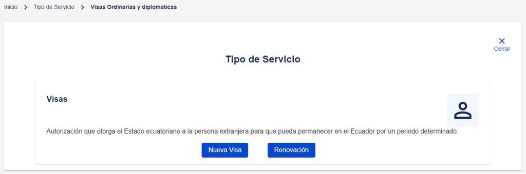 Tipo de servicio eVisas