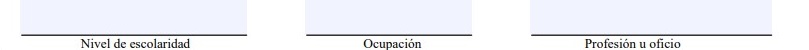 Planilla solicitud de pasaporte cubano. Datos laborales y de estudio. Parte 2